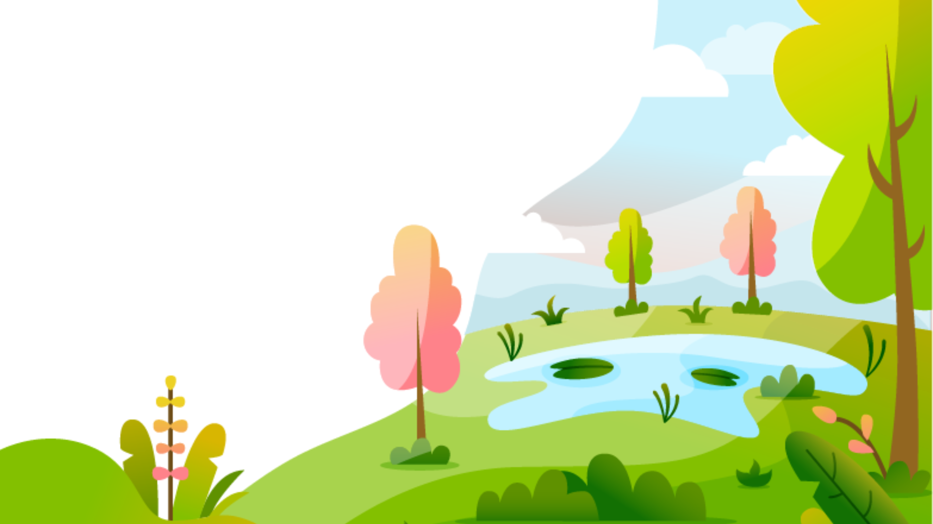 Penanaman Pohon Mangrove